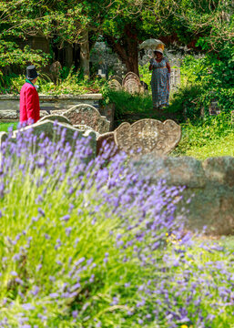 A man dressed in a formal Victorian frock coat and top hat observes a woman walking through a historic cemetery with a parasol, evoking a nostalgic, amidst lavender and gravestones.