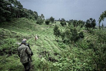Naklejka premium Rangers patrolling virunga national park engaging conservation efforts