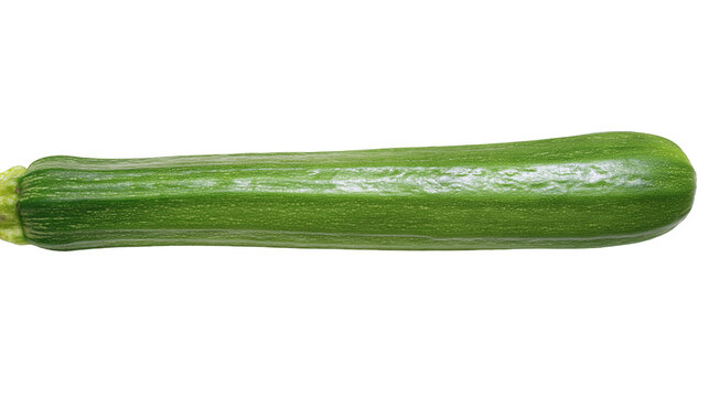 Fresh green zucchini squash with smooth skin and stem