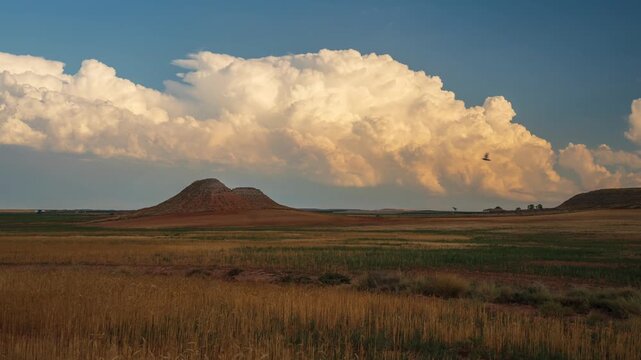 Timelapse nubes de tormenta en campos de cultivo 
