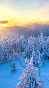 Snowflakes gently falling in slow motion create a peaceful and atmospheric winter scene. Ideal as a winter background or nature-themed visual for motion design and ambient video projects.