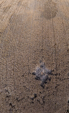 Aerial view of a large cornfield with a dark, scorched patch in the center, showcasing agricultural patterns in Coimbra, Coimbra District, Portugal.