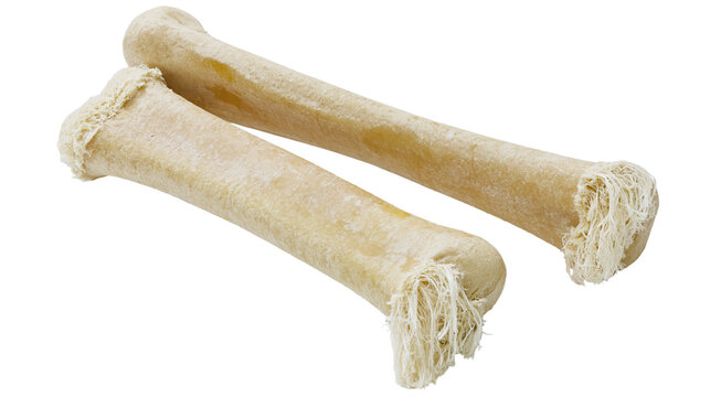Two raw rawhide dog chew bones with fibrous ends