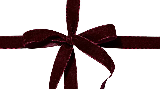 Deep burgundy velvet ribbon tied in a decorative bow with long flowing ends