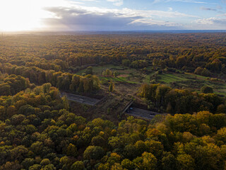 Naklejka premium Wildlife crossing green bridge overpass groenendaal sonian forest