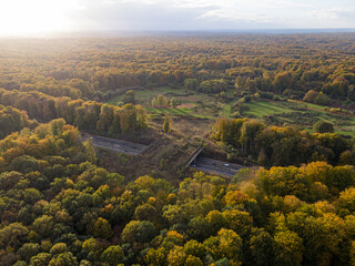 Naklejka premium Groenendaal wildlife crossing over highway in sonian forest