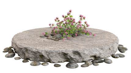 Pink clover flowers growing on a large flat circular stone with river pebbles © Matthias