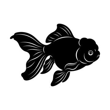 Delicate black silhouette vector of a fancy lionhead or ranchu goldfish, with its distinct head growth and detailed fins. White background.