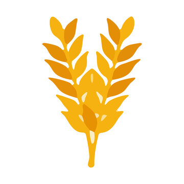 Golden Wheat Ears Grain Stalk Flat Vector Illustration