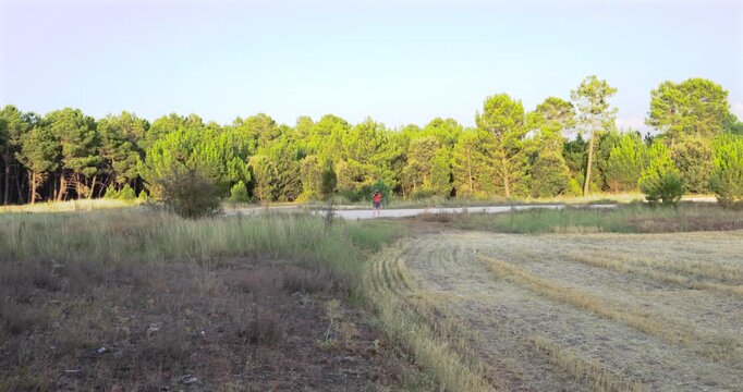 Solitary hiker with a large backpack walking on a dirt path. Scenic view of a beautiful green forest and a mowed field during a sunny day