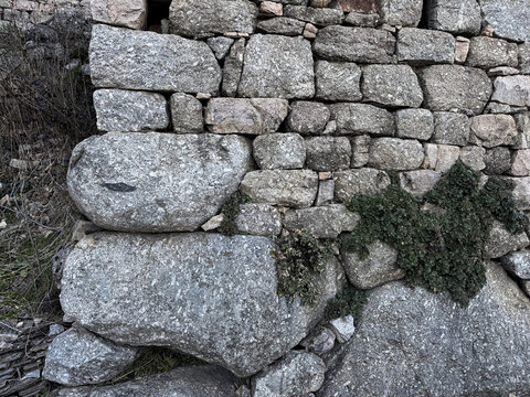 Weathered granite stone wall with growing ivy