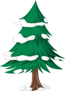 Flat cartoon Christmas pine tree icon without decorations for winter holiday design
