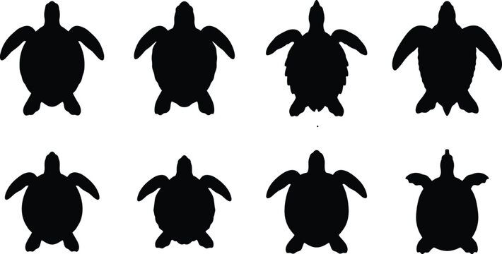 WebSea Turtle Black Silhouette Collection with Diverse Swimming Shapes for Ocean Wildlife and Marine Conservation Designs