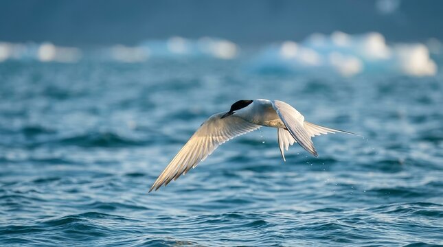 A seabird flying low over the open ocean