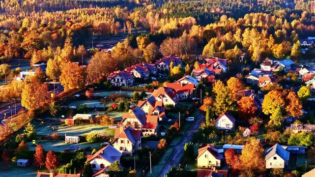 Aerial view of residential houses nestled among vibrant autumn trees in Sigulda Municipality, Latvia.