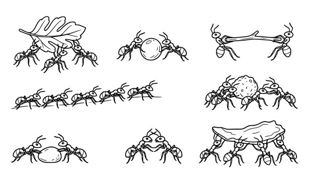 Ant Teamwork Cooperation Clean Line Art Vector Icon Set