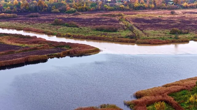 Aerial view of the river confluence in Jelgava surrounded by autumn wetlands and colorful trees in Jelgava, Latvia.