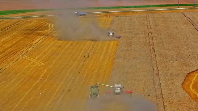 Aerial view of combine harvesters working in a large golden wheat field, creating dust during the harvest season in Jelgava, Latvia.