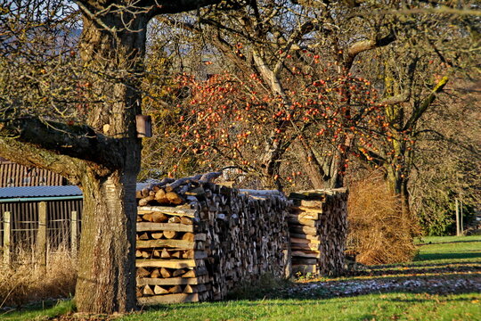 Herbstgarten mit Holzfinnen und Apfelb&auml;umen