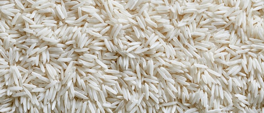 A top-down macro horizontal shot of a full-frame texture entirely covered with dry, raw long-grain white basmati rice, showing the uniform grains under soft, bright light.
