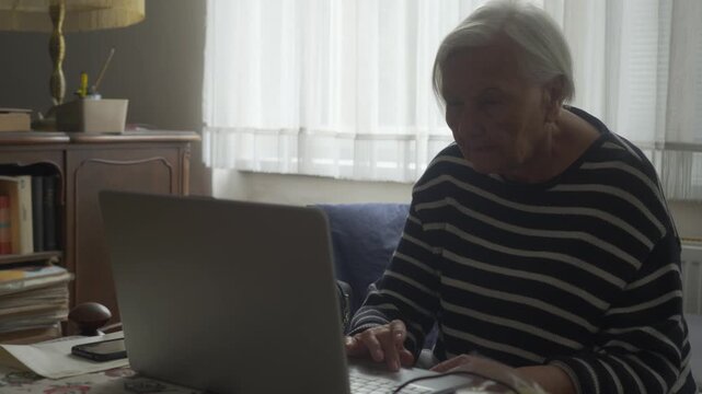 A senior lady sits near a brightly lit room window using a laptop computer to showcase modern technology adoption and everyday digital computing.