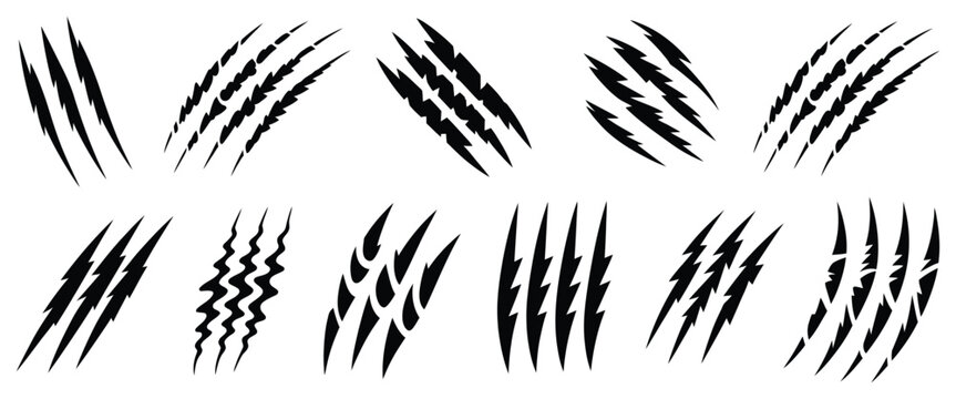Animal claw scratches, black monster slash marks with tiger, bear, and predator talon rips for horror, wildlife, and dramatic vector graphics