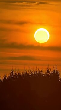 Partial solar eclipse over a treeline silhouette at golden sunset. sun briefly occluded then reemerges through hazy orange clouds.