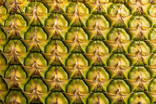 pineapple texture background 