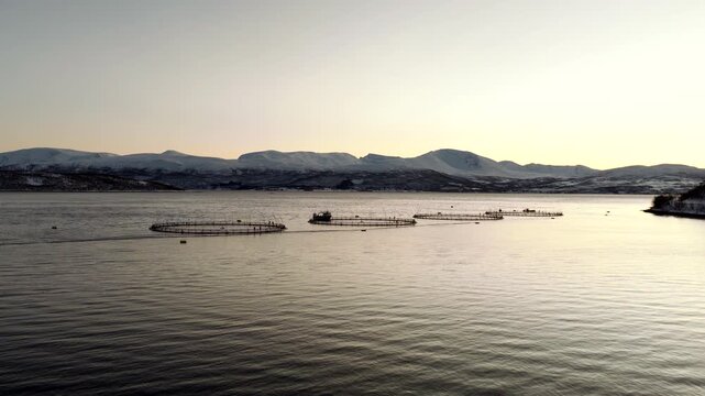 Polar night aerial toward round open net pens of salmon aquafarm in Norway fjord