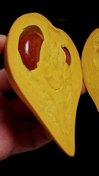Hands Open a Ripe Canistel to Reveal Yellow Flesh and Glossy Brown Seeds Against a Black Background, Showing Fresh Tropical Food Preparation Vertical video.
