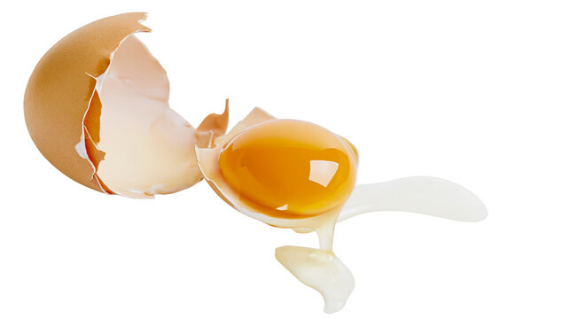 Cracked brown chicken egg with raw yolk and albumen spilling out of shell