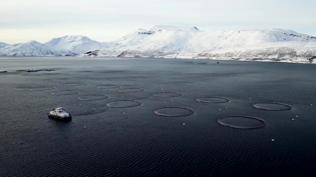 Feed barge next to round net pens of salmon aquafarm in snowy fjord, aerial