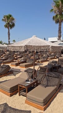 Elevated view of empty beach club sun loungers arranged under fringed umbrellas flanked by two tall palm trees