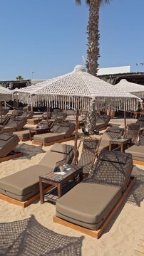 Rows of empty beige sun loungers and a fringed macrame umbrella create a peaceful luxury beach club scene beside a palm tree under a clear sky