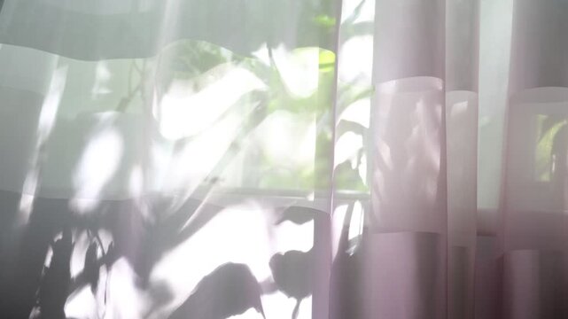 Sunlight through transparent curtain  of room shine with soft light into bedroom from street. Sunlight creating cozy tidy room, ambient atmosphere