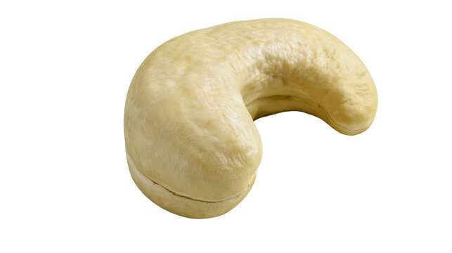 Single raw organic cashew nut with smooth texture and creamy beige color