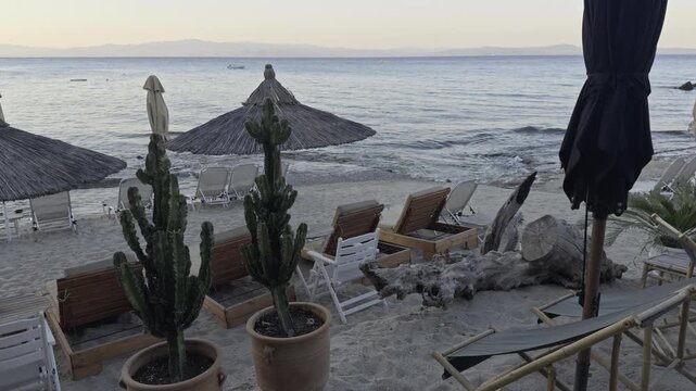 Two potted cacti stand near a row of straw thatched umbrellas along a sandy beach in Chalkidiki Greece with calm sea and hills at dusk