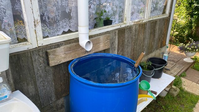 Blue rainwater barrel collecting water from roof gutter at rural house