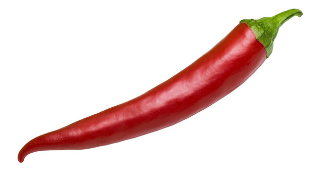 Fresh vibrant red chili pepper with green stem
