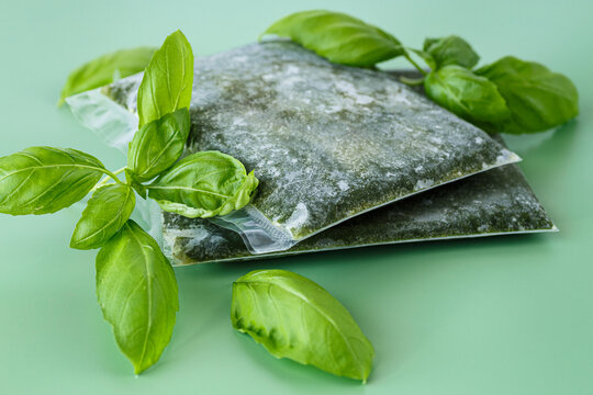 Frozen basil prepared for long storage in sealed vacuum packages