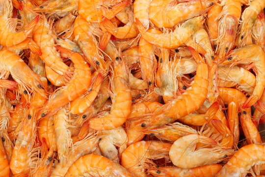 Bandeja llena de gambas listas para comer
