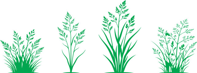 Fototapeta premium Green grass tufts meadow plants isolated on transparent background botanical collection for landscape design nature scene building environmental graphic elements for architectural rendering projects.