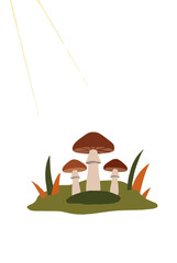 Naklejka premium Hand drawn vector illustration of wild mushrooms growing on grassy ground illuminated by golden sunlight beam in autumn forest setting with green leaves and orange grass accents