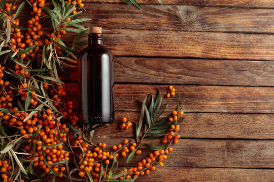 Antique dark glass pharmacy bottle filled with sea buckthorn oil with fresh branches of bright orange berries on a wooden background.