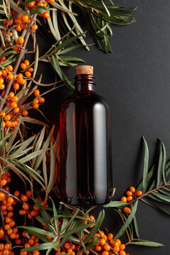 Antique dark glass pharmacy bottle filled with sea buckthorn oil with fresh branches of bright orange berries.
