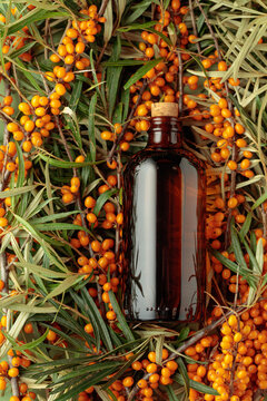 Antique dark glass pharmacy bottle filled with sea buckthorn oil, surrounded by fresh branches of bright orange berries.