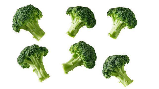 Fresh green broccoli florets arranged in a group