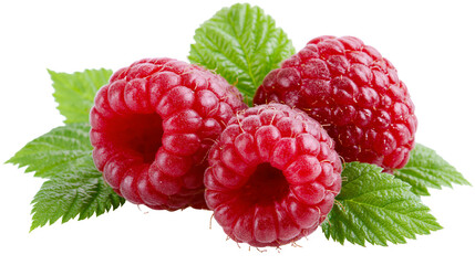 Three fresh ripe red raspberries with vibrant green leaves © Fraser