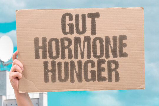 "Gut hormone hunger" Ghrelin and others regulate appetite. GUT. HORMONE. HUNGER. GHRELIN. REGULATE.