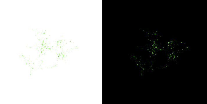 Green liquid splash and flying paint droplets on transparent background perfect for fresh dynamic natural design work.